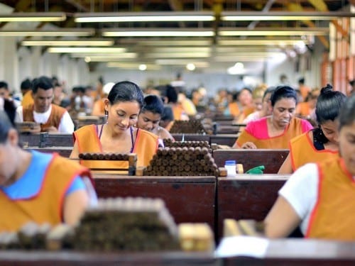60 percent female cigar roller plasencia factory