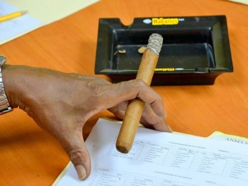 gerardo alamo gomez test smoker partagas cigar tasting notes