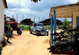 la ruta del tabaco hector lius