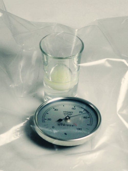 hygrometer calibrate small glass method