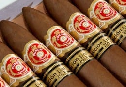 punch serie d oro no 2 limited edition 2013 box