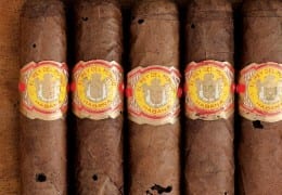 rey del mundo tobacco beetle