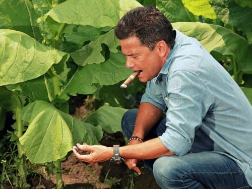 cao cigars master blender rick rodriguez tobacco field leaves earth