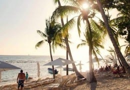 Beach Dominican Republick