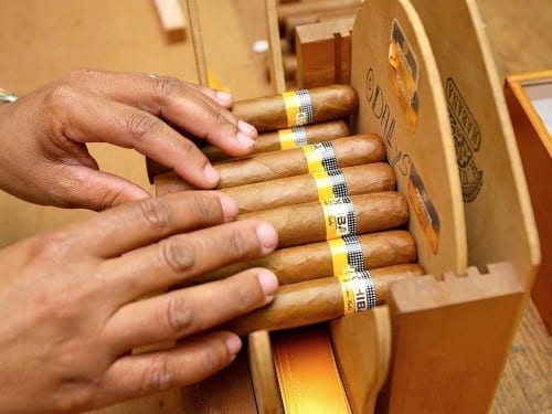 cohiba quality control cigars hands closeup