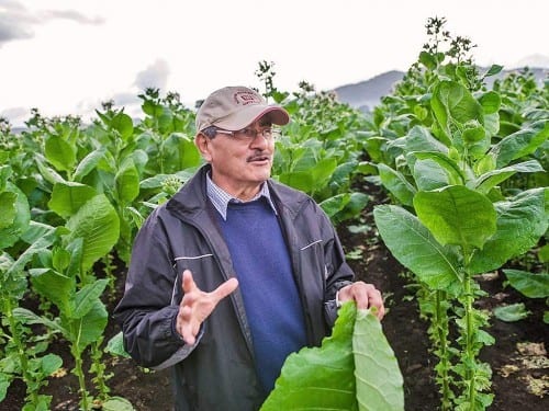 felipe lopes meza explaining tobacco leaf farm turrent