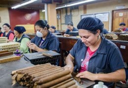 Flor de Copan Factory