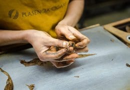 Cigar rolling at the Plasencia factory