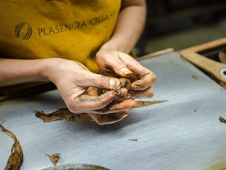 Cigar rolling at the Plasencia factory