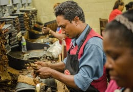 Portrait of Manuel Mota