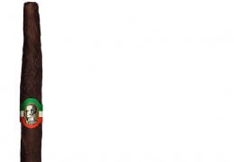 Best Medium Filler 2016