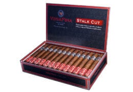 VegaFina Fortaleza 2 Stalk Cut