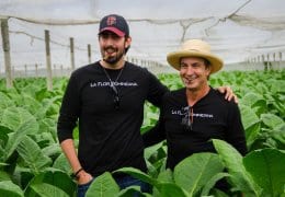 La Flor Dominicana's Tony & Litto Gomez in a tobacco field