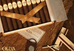 Oliva Cigars Bratislava