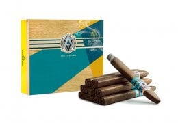 AVO Syncro South America Ritmo