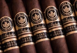 Joya de Nicaragua Antaño Dark Corojo Redesign