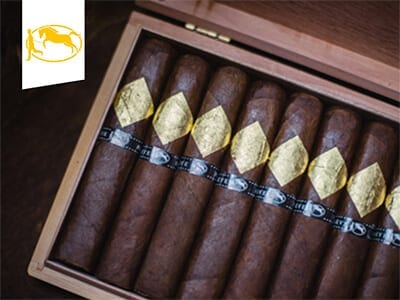 Cavalier Geneve Black II