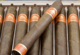 Mombacho Cosecha 2012