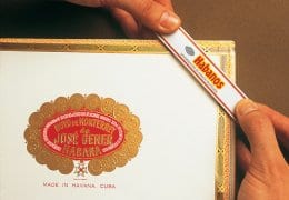 5th Avenue Geschäftsjahr 2017