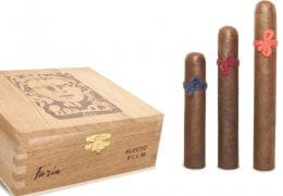 New Brand Furia by NyB