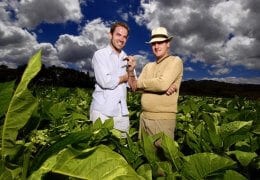 Cigarworld A.j.Fernandez