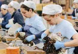 Manifatture Sigaro Toscano