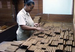 Sorting cigars by wrapper colours