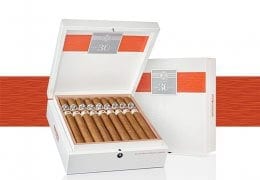 AVO Improvisation 30 Years