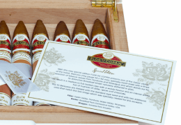 FLOR DE COPÁN BELICOSOS