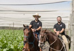 José Luis Plasencia Vice President of Plasencia 1865