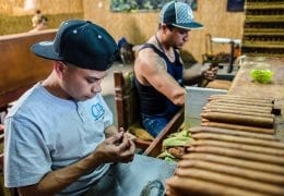 Brun del Ré Cigar Factory Workers Costa Rica