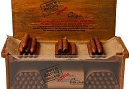 ‘Grupo de Maestros Private Batch’