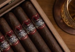 Launch Event Viva la Vida