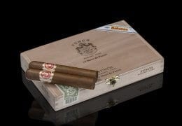 Short de Punch Habanos