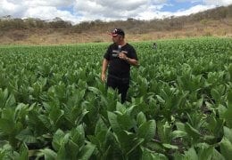 Perdomo Factory Tours 2020