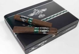 CUELLAR BLACK FOREST